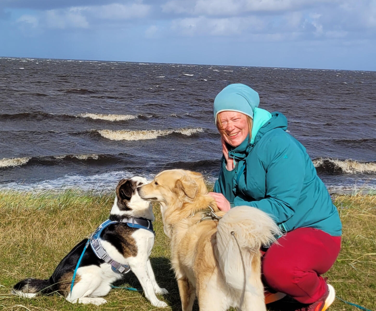 Ida Paulsen Auf dem Bild sieht man die Autorin Ida Paulsen, die bei zwei Hunden hockt. Einer ist sandfarben, einer ein bunter Mischling. Das Bild wurde vor Wasser und Wellen aufgenommen.
